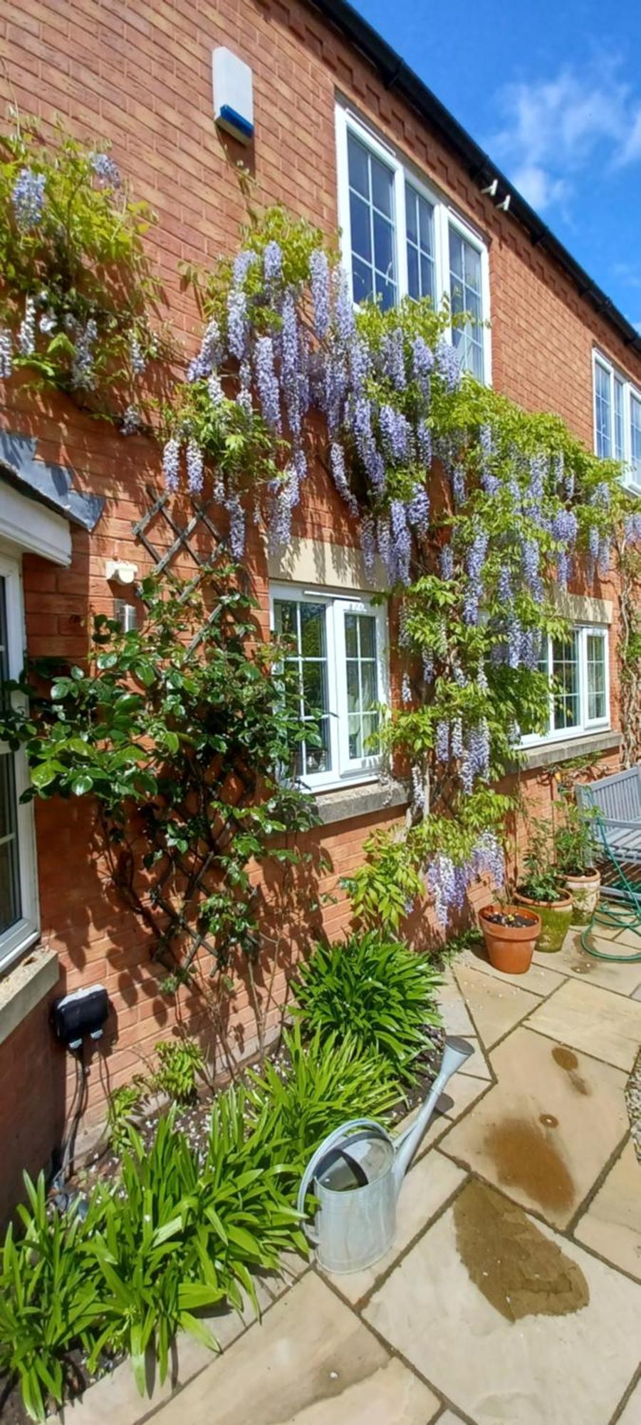 Harlequin B&B Ледбері Екстер'єр фото